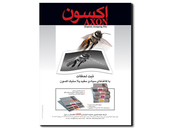 Axon 1